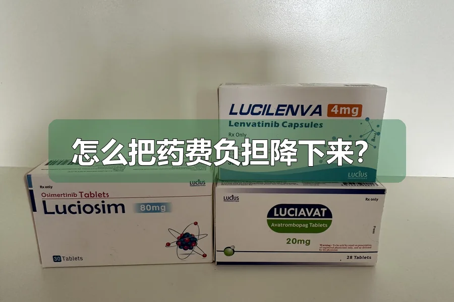 怎么把药费负担降下来？