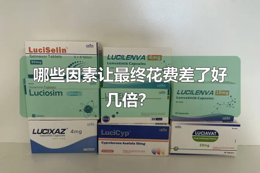 哪些因素让最终花费差了好几倍？